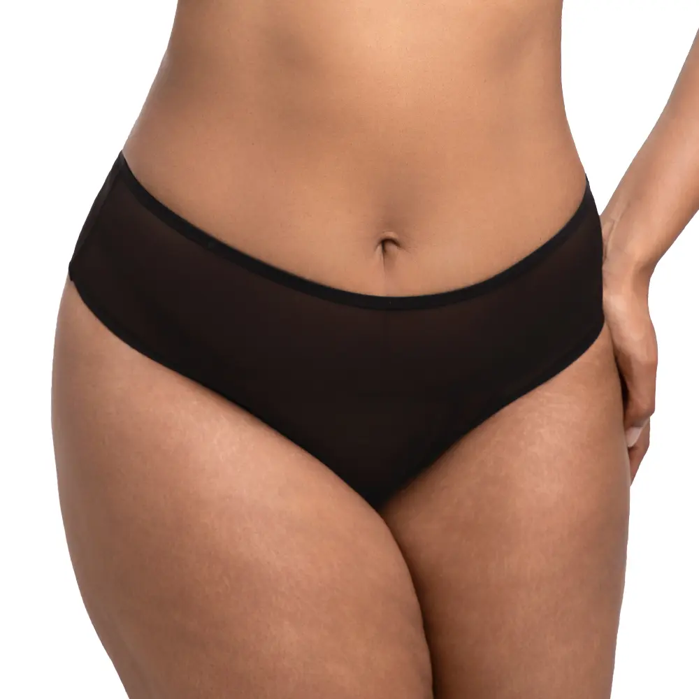 HSIA Women's Elegant Lingerie High-Waist Mesh Briefs, Cotton-Blend Sculpting Coverage Panties for Bra Matching Comfort Fit