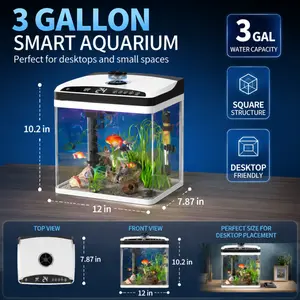 3 Gallons Fish Tank, Small Smart Aquarium with Filter, LED Light, Temperature Display Suitable for Betta, Shrimp, Goldfish, Guppy Small Fish