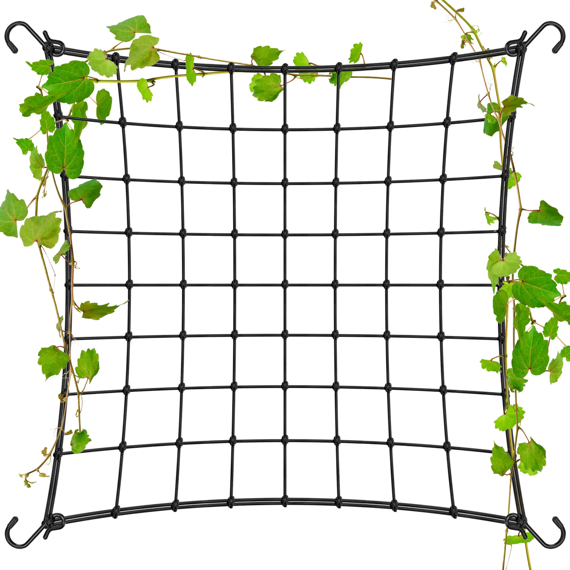 VIVOSUN Elastic Trellis Netting with 4 Hooks for Climbing Plants, Vegetables, Fruits, and Flowers, 1-Pack VIVOSUN Elastic Trellis Netting with 4 Hooks for Climbing Plants, Vegetables, Fruits, and Flowers, 1-Pack