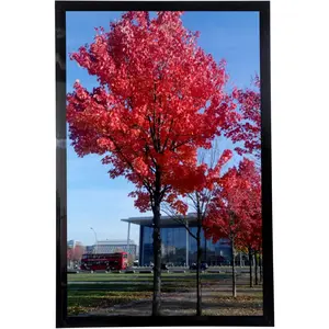 11x17 Picture Frame in Black, Display pictures 11x17 Poster Frame, Wall Sign Poster Menu Photo Frames, 1 Pack