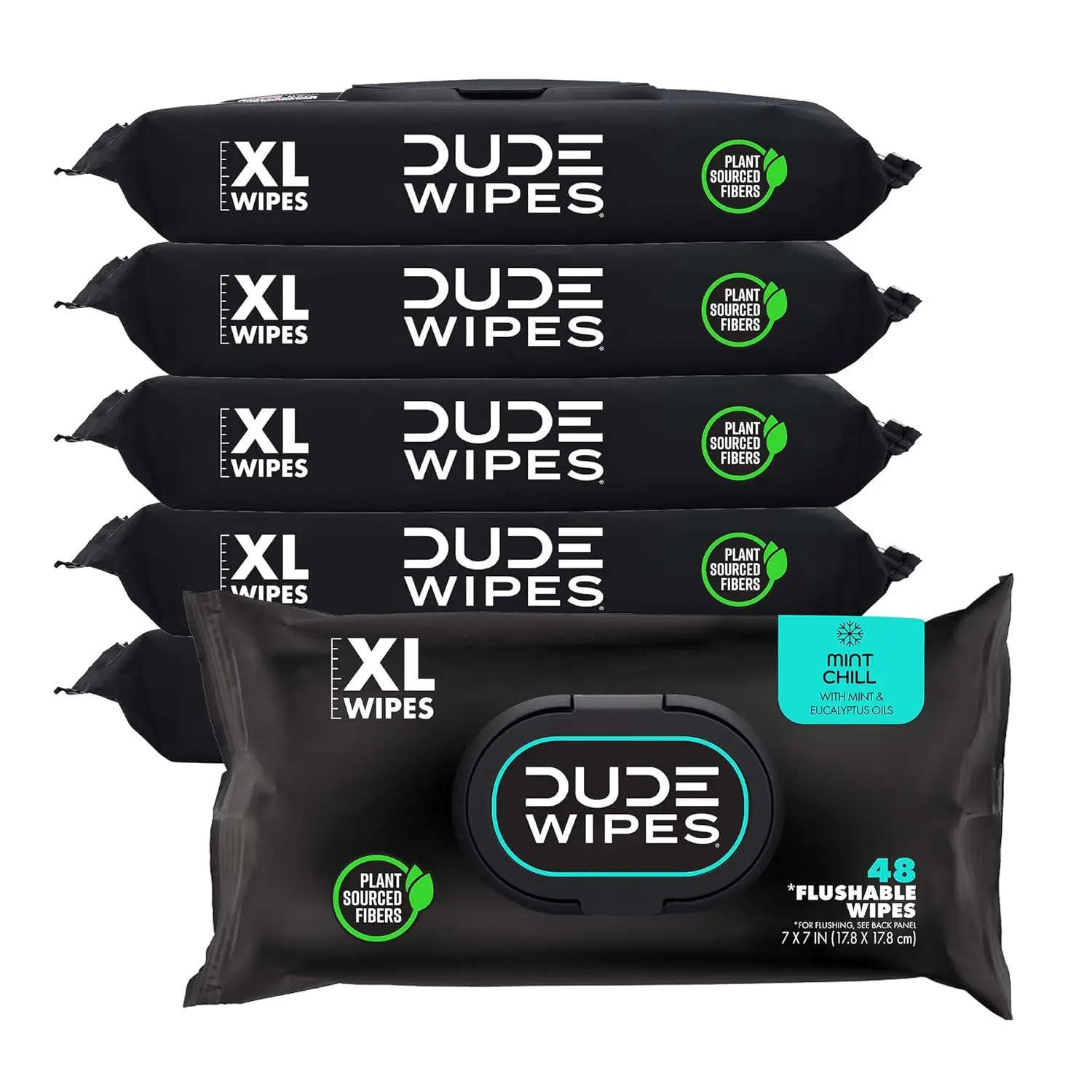 DUDE Wipes - Flushable Wipes - 6 Pack, 288 Wipes - Mint Chill XL Wipes - Vitamin-E, Aloe, Eucalyptus & Tea Tree Oils - Septic and Sewer Safe Toilet