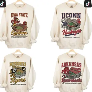 [Sale off 50%] Custom Team Vintage College Mascot Sweatshirt, Retro Football Stadium Graphic Crewneck, All Team Style Unisex Pullover, Game Day Outfit 9JI