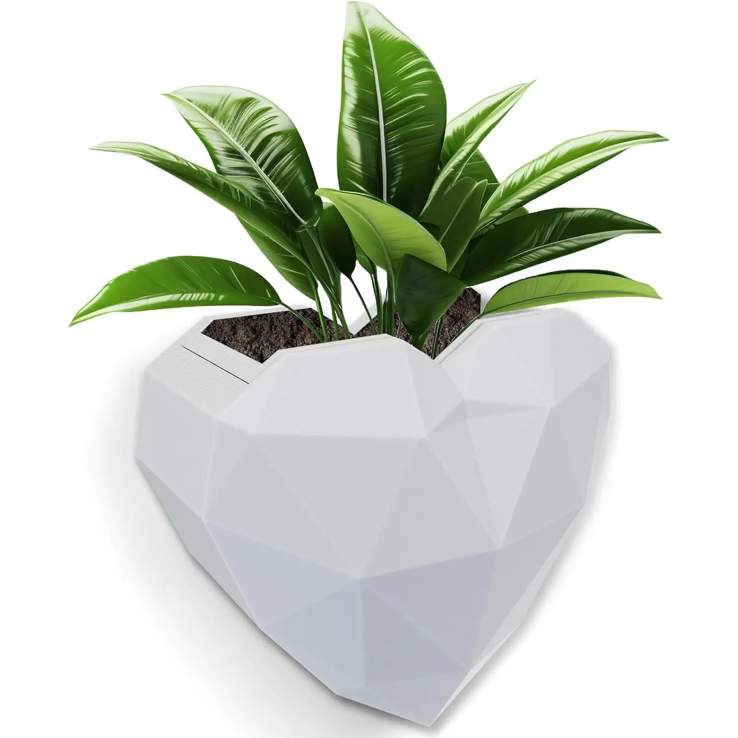 Self Watering Indoor Wall Planters for Indoor Plants Vertical Succulent Wall Planters Create A Wall Garden Without Drilling White