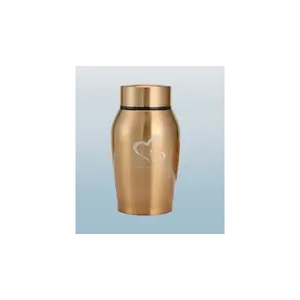 Premium Stainless Steel Pet Urn for Ashes Memorial cat stuff