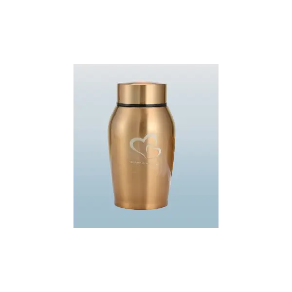 Premium Stainless Steel Pet Urn for Ashes Memorial cat stuff