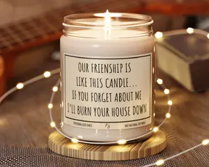 Funny Candle Gift for Friend, Christmas Gift for Friend, BFF Gift, Friend Birthday Gift, Friendsgiving Gift, Friendship is like this Candle