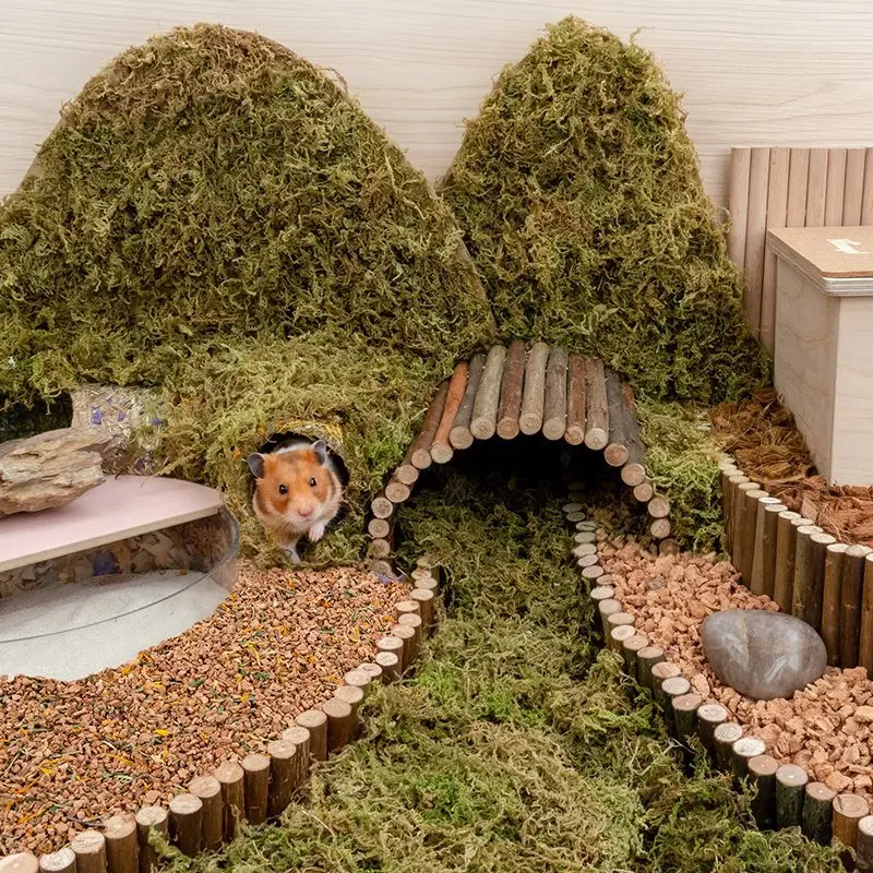 Flexible Wooden Hamster Border Fence - Natural Habitat Divider