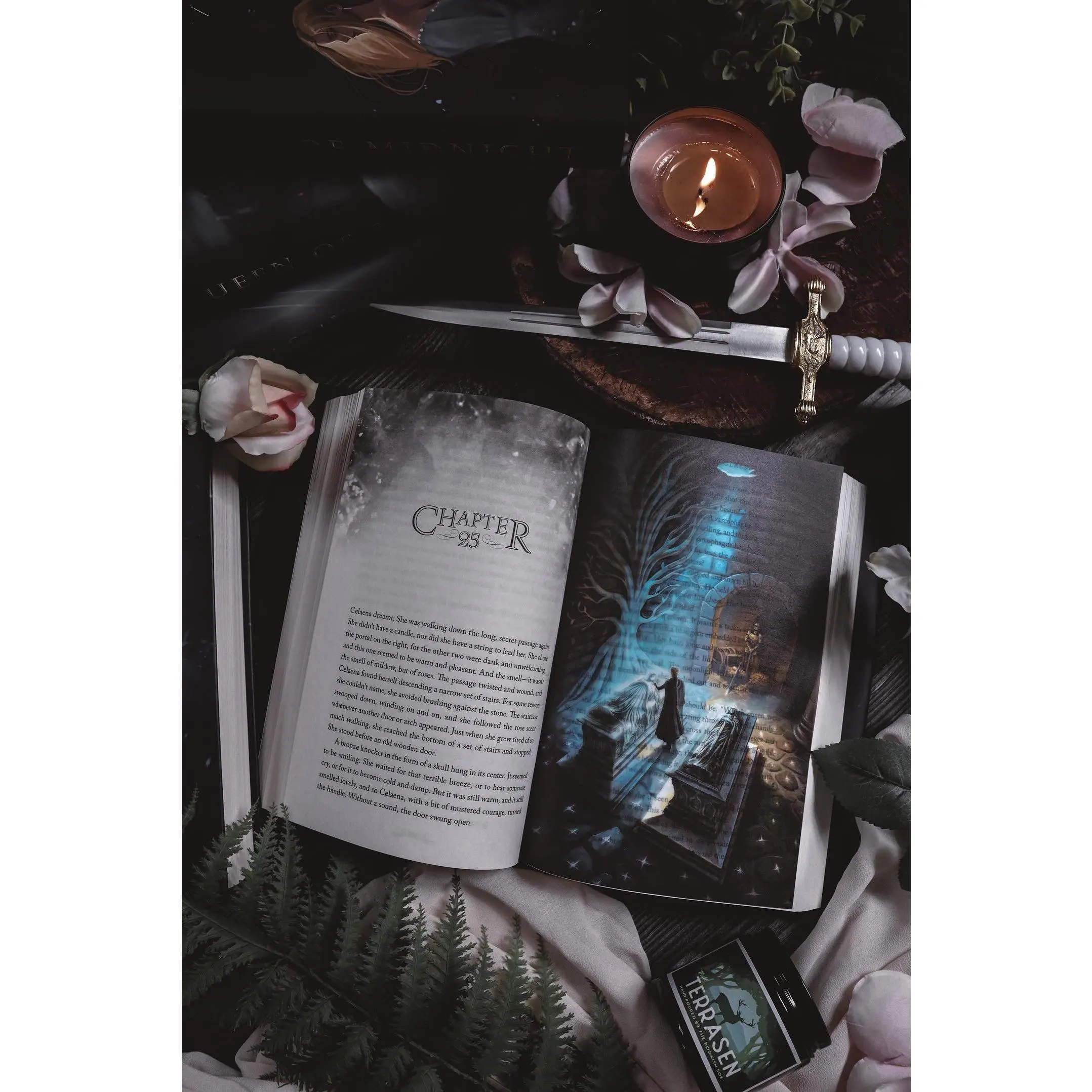 Throne of Glass Cinematic Overlays