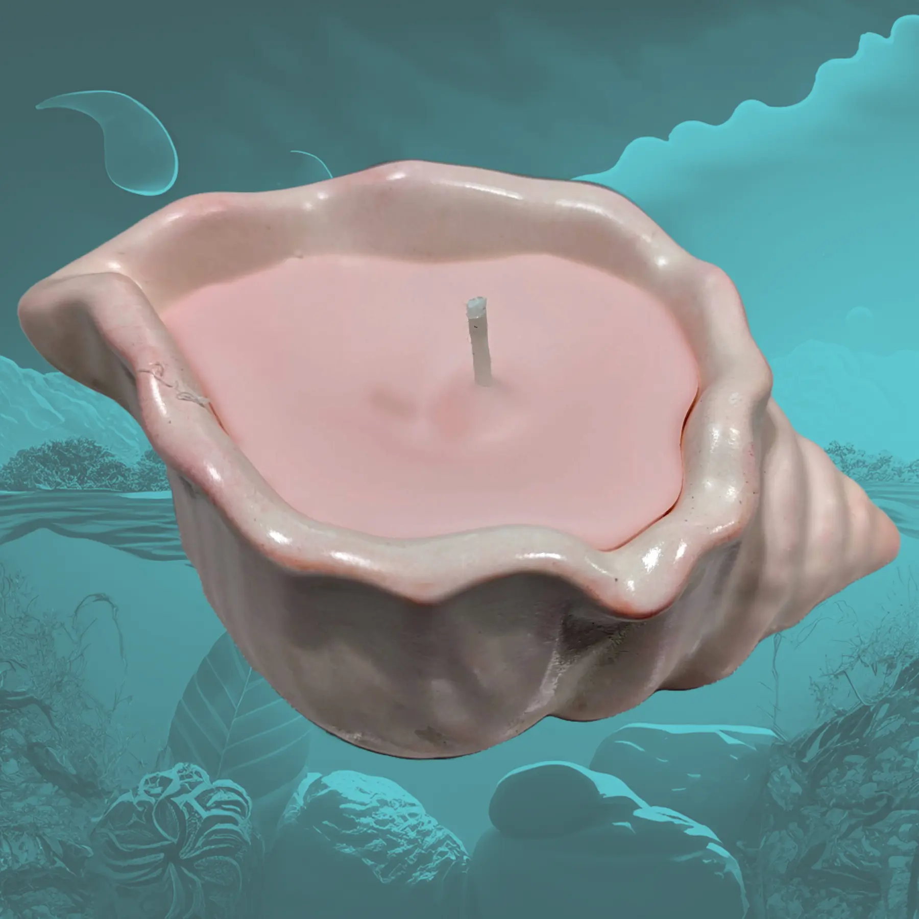 ZenGen Handmade Conch Shell-Carved Glossy Aromatherapy Candle - Original 2oz/3oz Soy-Beeswax Blend, Long Burn Time, Vanilla & Lavender Scents, Indoor Decor Home Supplies Ornament