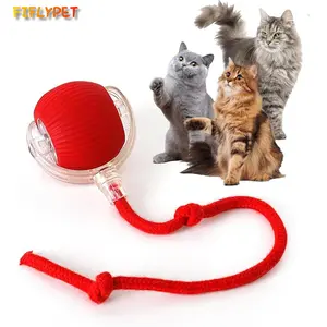 FIFLYPET Interactive Cat & Dog Teaser Toy with Two Additional Tails, Kitten Rolling Ball Toy, Pet Supplies, Dog & Cat Accessories Cute dog toys