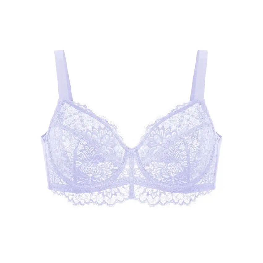 HSIA Sunflower Floral Lace Unlined Sexy Plus Size Underwire Full Coverage Bra