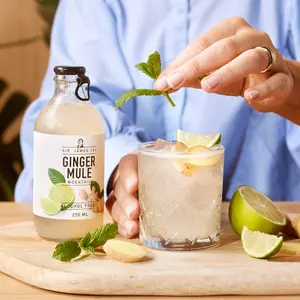 Sir. James 101 Alcohol-Free Ginger Mule | 6-pack
