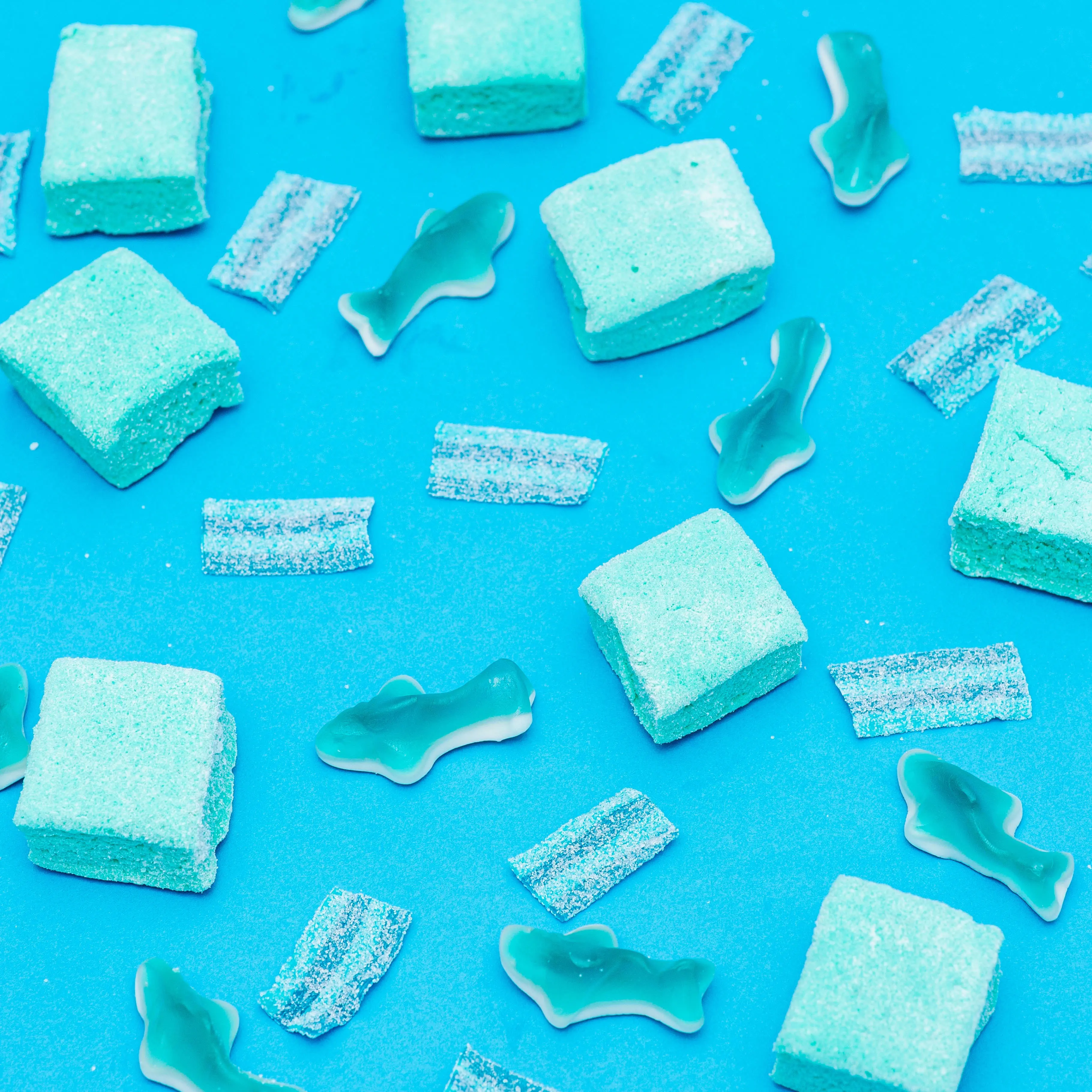 Sour Blue Raspberry Marshmallow (set of 12)