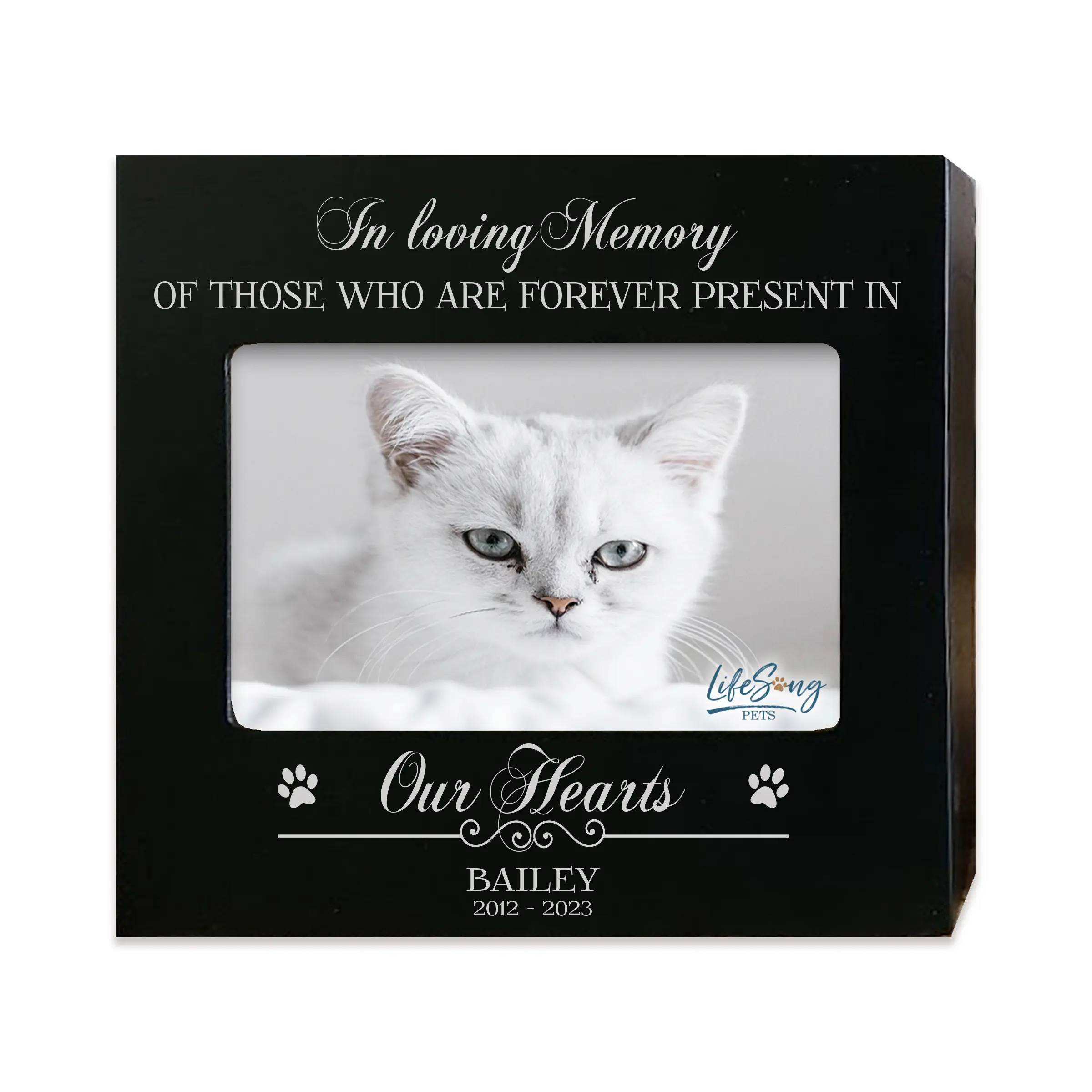 Pet Memorial Photo Urn | Personalized Pet Ashes Box for Cats & Dogs | Sympathy Gift | Custom Pet Name Keepsake | In Loving Memory of Those
