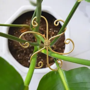 Snake Plant Support Holder, Anti-Tilt Spring Fern Stand, Hydroponic Branch Fixer, Flower Pot Rack, Gardening Plant Clip, Climbing Support Frame, Garden Trellis, Versatile Use, Easy Installation