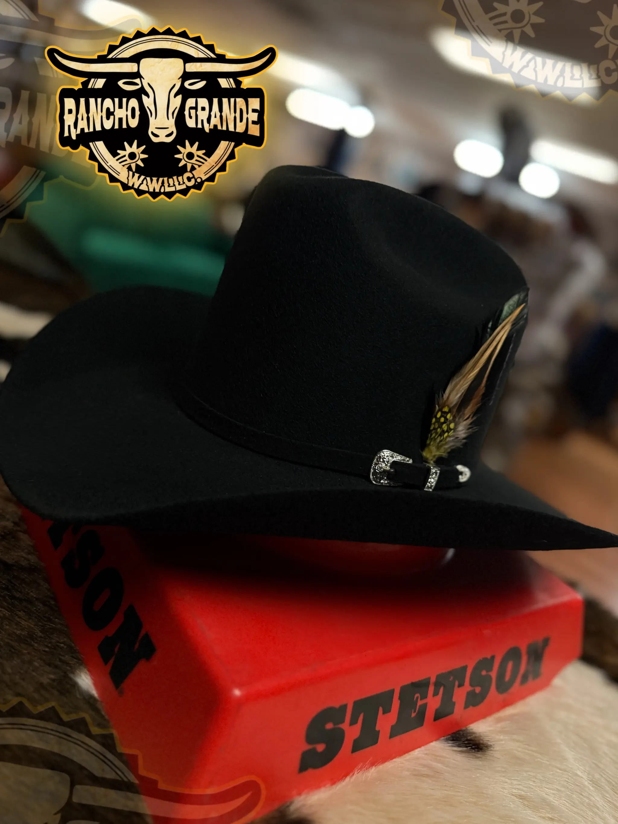 STETSON PLUMA Neg  para Tejanas & Sombreros  Perfect Feather Texanas, Cowboy Hats, sombreros vaqueros