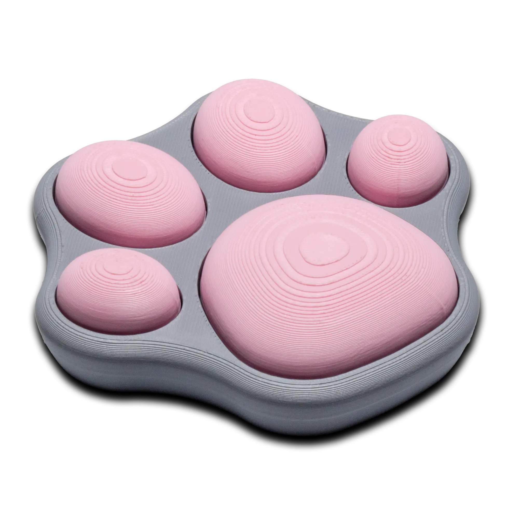 Cat Paw Switch Fidget