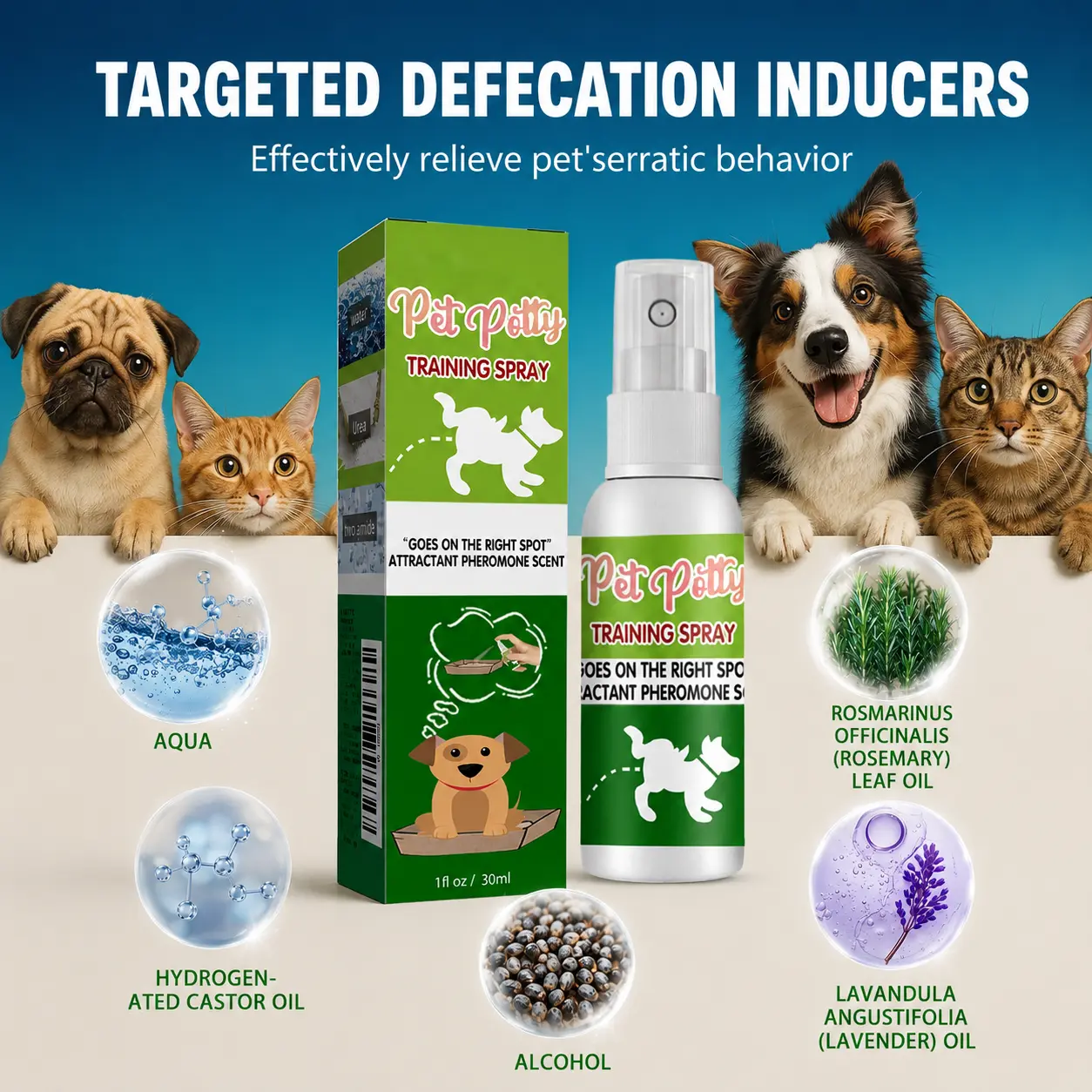 Natural Plant Oils Cat Litter Training Spray – Pet Toilet Training Aid & Attractant for Cats & Kittens, Encourages Consistent Litter Box Use, Supports Healthy Bathroom Habits, Natural Scent Daily Behavior Training Spray for Indoor Pets