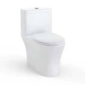 Elongated One-Piece Toilet, ADA Comfort Height (16.5"), Top Dual Flush Buttons (3/4.8 LPF), Soft-Close Seat, Fully Glazed & Easy-Clean Ceramic, White