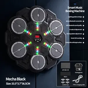 Adjustable Speed Punching Bag Set, Wall-Mounted Boxing Target, Phone Connected, USB Rechargeable Music Boxing Machine with Gloves