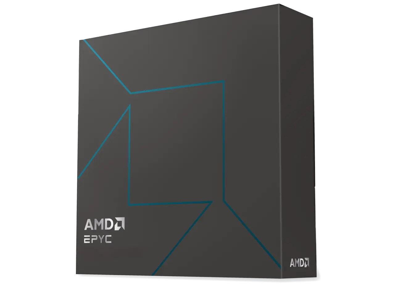 AMD EPYC 4005 (5th Gen) 4465P Dodeca-core (12 Core) 64MB L3 Cache Socket AM5 65W Processor 100-100001558WOF