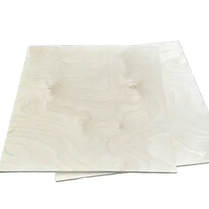 DIY 2 Pack 18 Inch Wide 1/2" Thick Birch Plywood Squares for Craft Projects