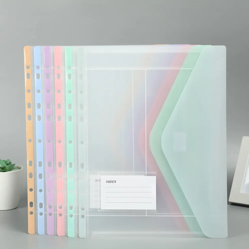 6 Color 12 Pack Macaron Style PP Plastic Envelope Binder Pockets, Transparent File Folder, 11 Hole Binder, School Office Supplies, File Organizer, Plastic Folders, Document Organizer, File Storage