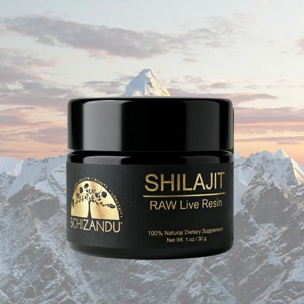 Raw Shilajit Resin 30g – Full-Spectrum Mineral Supplement