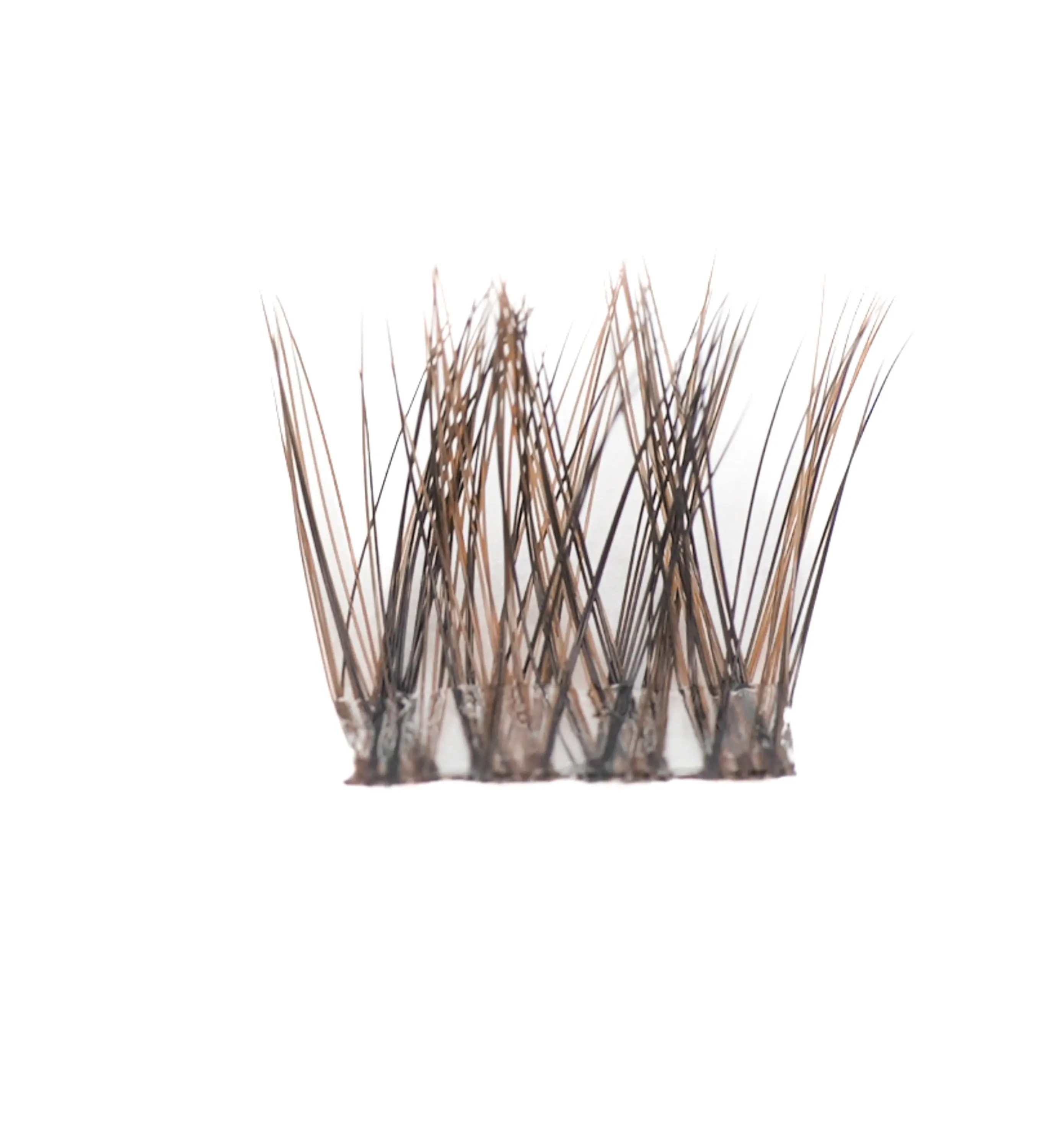 Pro Lash Bronde Balayage Lashes, Cocoa, False Eyelashes & Adhesives, Light Brown, All Skin Tones, Multi-Tonal, Synthetic Mink, Fluffy Eyelash Clusters, Nature, Alt Makeup, Everyday Wear, Cosmetic, Blonde, Adults