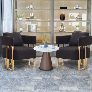 Modern decorative chair, living room side chair with gold metal legs, no wheels, suitable for dressing area, reception room, office,Teddy fleece upholstered metal foot sofa 2PCS