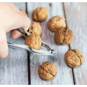 Stainless Steel Nut Crackers Set (4-Piece) - Heavy-Duty Zinc Utensils with Serrated Edge for Shelling Walnuts, Lobster - Essential Kitchen Gadgets for Home