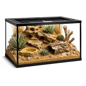 Reptile Glass Tank 16"x11"x11" Terrarium with Top Opening and Screen Ventilation for Leopard Gecko,Lizard,Hermit Crab,Snake,Spider,Frog,Bearded Dragon,Turtle with Feeding Tongs
