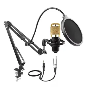 FNTWlF Factory Store Golden- Mount+Foam Cap+Cable+Microphone stand Karaoke Studio Mic Shock Professional Condenser Microphone Kit  For Recording Computer