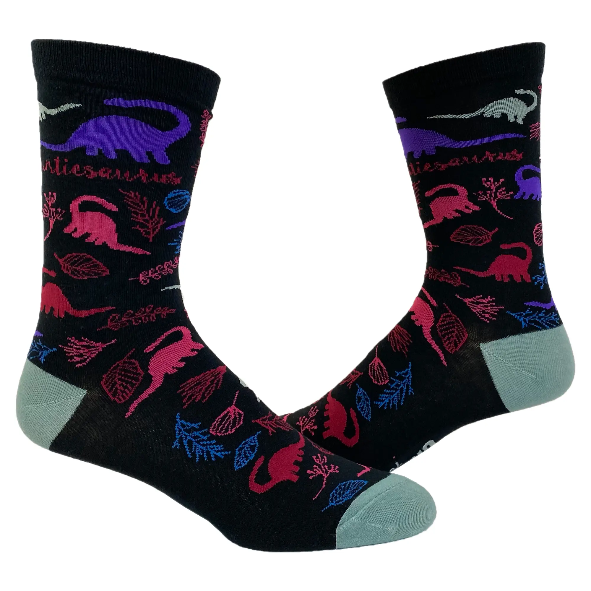 Women's Auntiesaurs Socks Funny Dinosaur Flowers Plants Aunt Family Graphic Novelty Footwear Funny Graphic Socks Comfortable Fitted Spandex Cotton