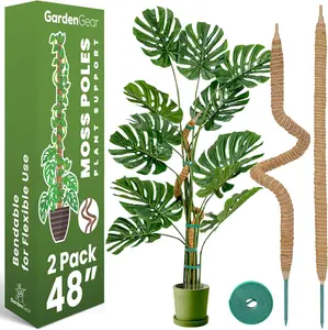 2 Pack 48'' Bendable Moss Pole Monstera Plant Support for Climbing Indoor Plants - Stakes for Potted Climbers - Tall Sticks Indoor Trellis for Houseplants - Accessories for Monstera Pot