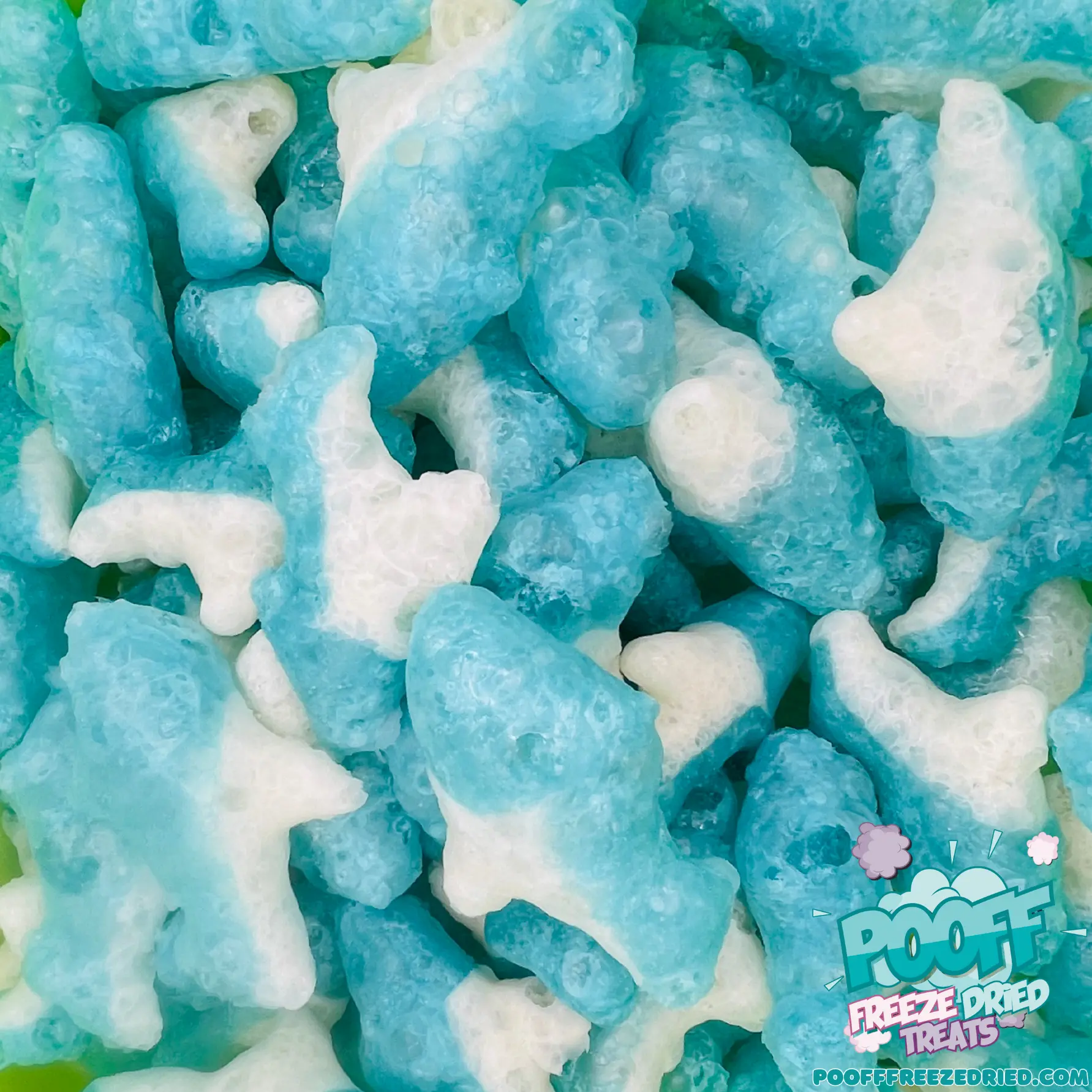 Freeze Dried Gummi Sharks