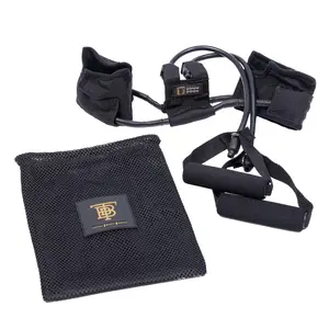Total Body Bands Resistance Training System with Bag