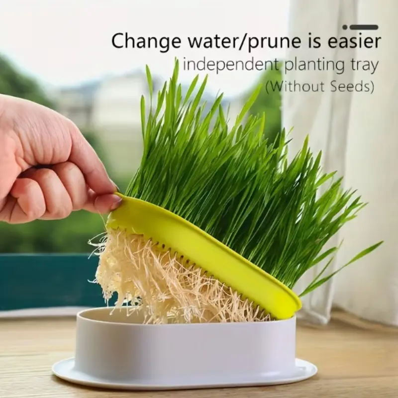 Seedless Hydroponic Cat Grass Planter Tray, Promotes Digestion and Health, Includes Greenhouse Growing Box, Gardening Gift, Home Decor