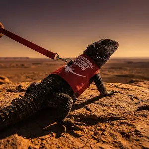 Lizard Chameleon Squirrel Leash, Safe Outdoor Pet Walking Gear, Secure Handling for Reptiles, Ideal for Nature Walks and Exploration