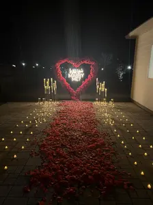 2200 PCS Dark-Red Silk Rose Petals for Romantic Night,Wedding,Proposal Anniversary Flower Decorations Decorative Ornaments