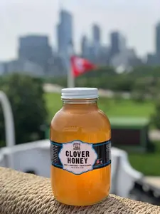 Local Chicago Honey - Raw and Unfiltered Flavor Sweet honey (5 LB)
