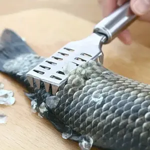 2pcs Premium Fish Scaler Stainless Steel, Integrated Cast Design, Durable Sawtooth Edge, Efficient Fish Scales Removal Tool Kitchenware, Kitchen Gadget