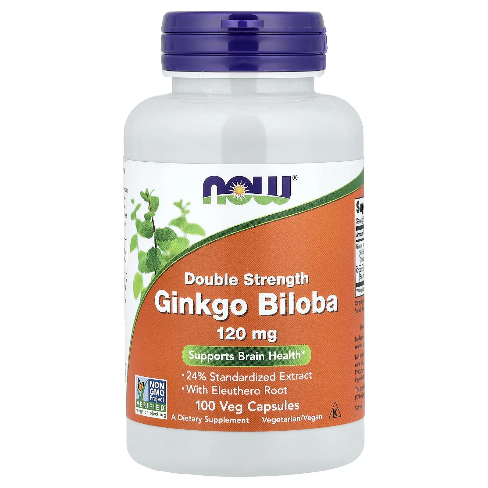 NOW Foods Ginkgo Biloba With Eleuthero Root, 100 Veg Capsules