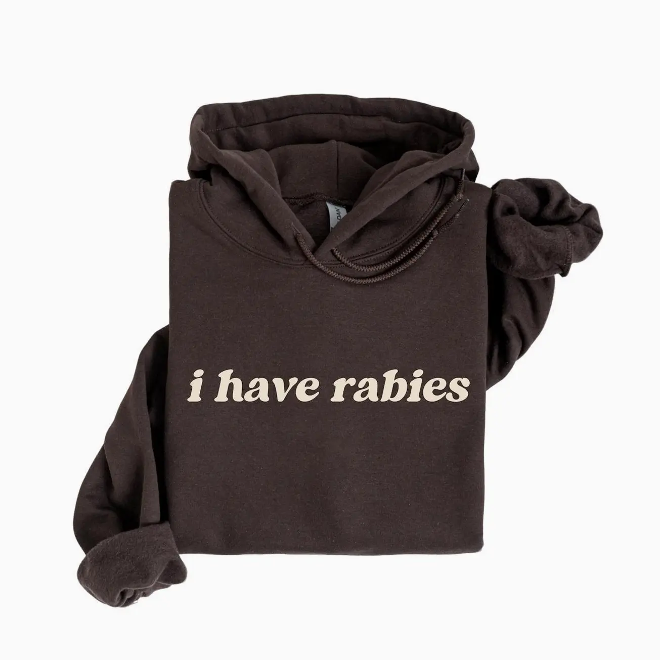 I Have Rabies Funny Hoodie, Unhinged Meme Sweatshirt, Grunge Y2k Clothing, Weird Dark Humor Tee, Sweatshirt Gift for Friend/ Sister