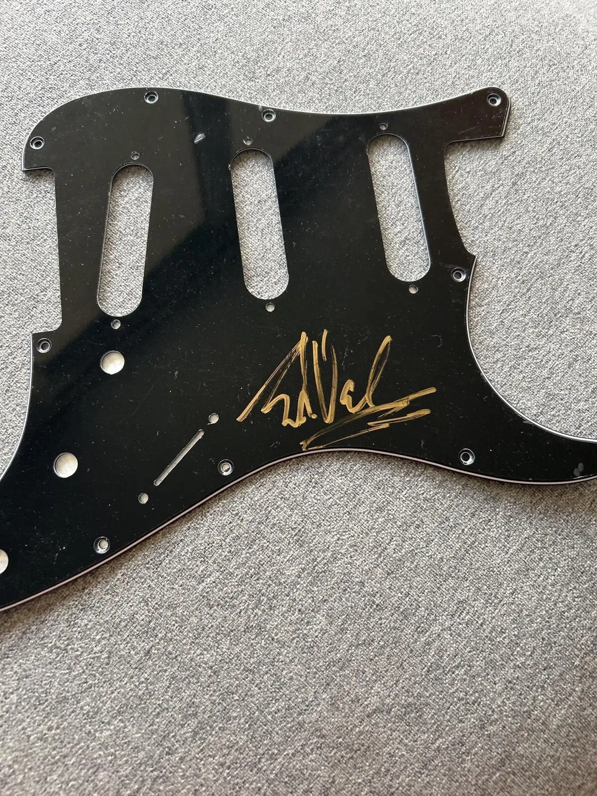Eddie Vedder Signed Guitar Pick Guard - Premier COA Sticker Included, No Battery Needed, Collectible for Music Fans, Not Sure Scenario Fit (Toys & Hobbies DIY Scrapbooking Stamping Accessory), Autograph