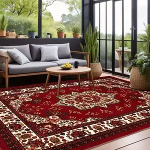 Velvet Rug 800g/m² Anti-Slip Bottom, Soft Area Rug, Classic Pattern Carpet for Home Decor, Living Room Sofa Mat, Bedroom Outdoor Rug, Multiple Sizes Available