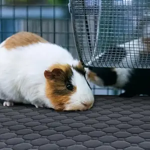 Guinea Pig Lining Washable Non-Slip Urinary Pad - Durable Fabric with Hexagonal Pattern, Reusable Pet Bedding for Guinea Pigs, Cats, Dogs - Easy-Clean Small Animal Bedding, Pet Bedding, Hexagonal Pattern Bedding, Washable Fabric