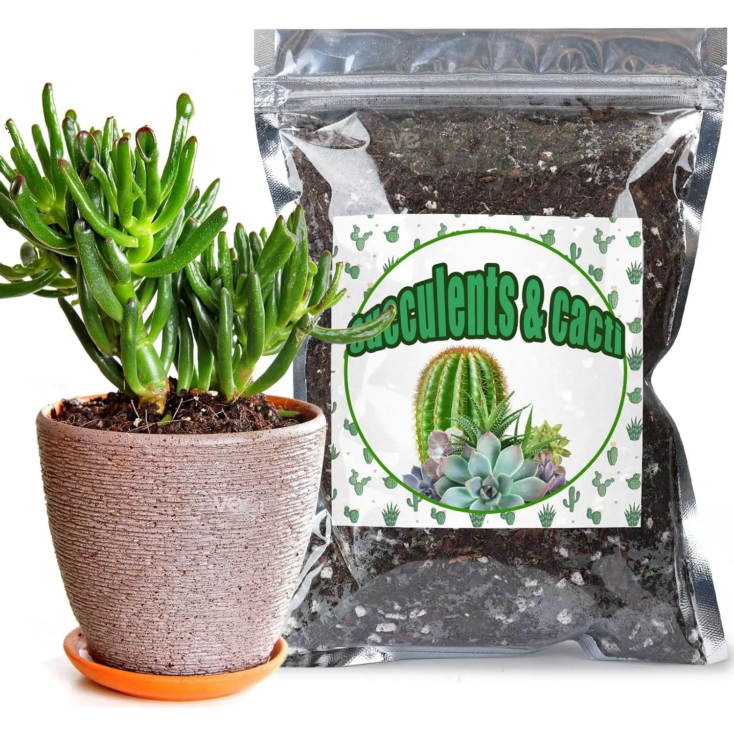 Cactus & Succulent Soil Mix 2qt, Chunky Well-Draining Soil for Indoor  - Spike & Bloom