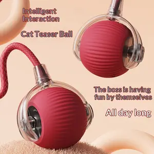 #SummerVibes #petlovers Interactive Cat & Dog Teaser Toy with Two Additional Tails, Kitten Rolling Ball Toy, Cute Dog Toys, Pet Supplies, Dog & Cat Accessories