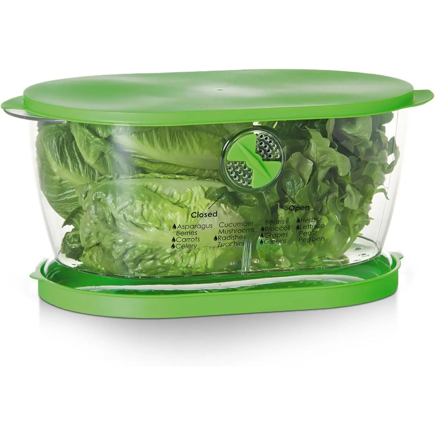 Prep Solutions by Lettuce Keeper  4.7 Quarts Green